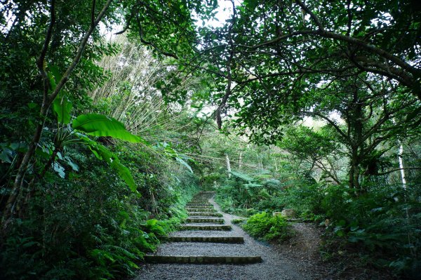 桃園 龍潭 太平山、清水坑山、石門山、小粗坑山、大竹坑山2977097