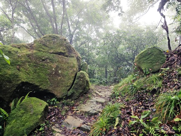 2026年臺北大縱走第六段：中華科技大學至捷運麟光站3026032