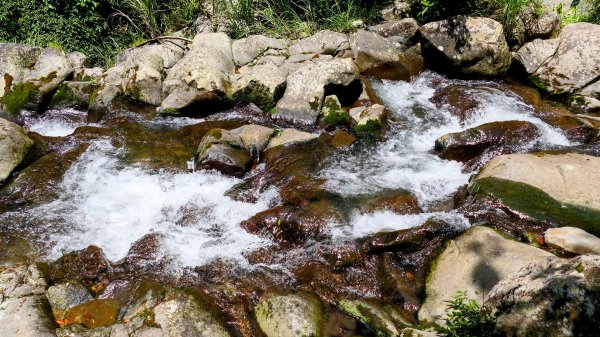 猴崁古道。盧特訪積2773257