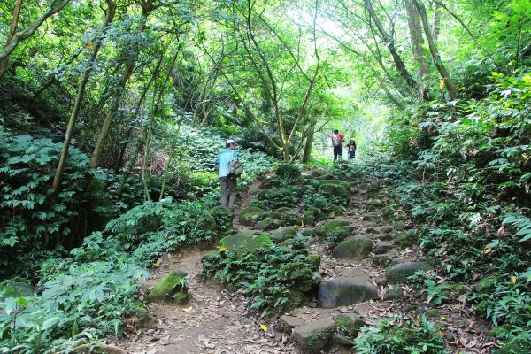 石門山+百吉步道 山水有情 暑氣消 ! 347544