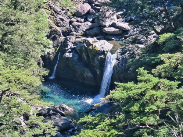 合歡溪步道慢遊 福壽山農場賞秋櫻1462164