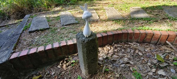 2025/11/09-青青草原步道2933459