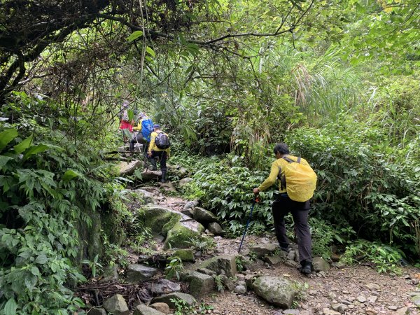 20250614南投南鳳凰山2813248