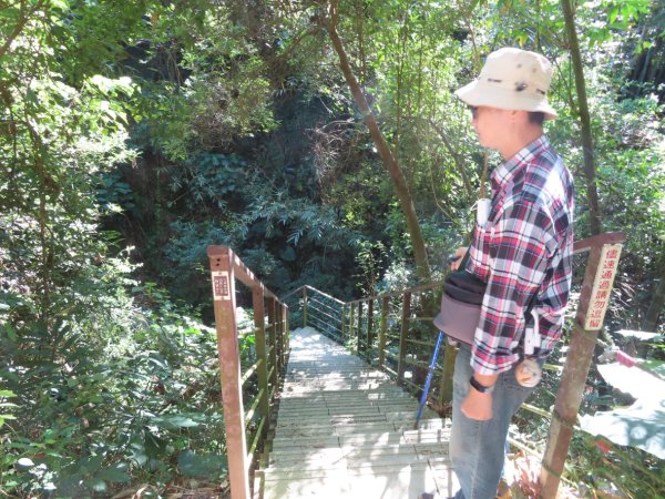 彰化桃源里森林步道+龍鳳谷森林步道2696103