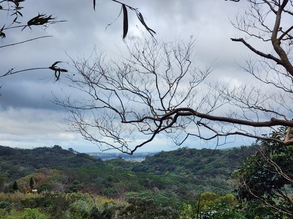 苗栗三灣｜龍峎頂步道2973709