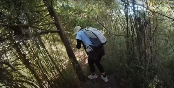 塔塔加五連峰2831420