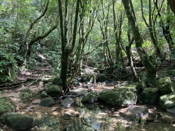 帕米爾公園、碧山、白石湖山、大邱田天然石壁洞1387019