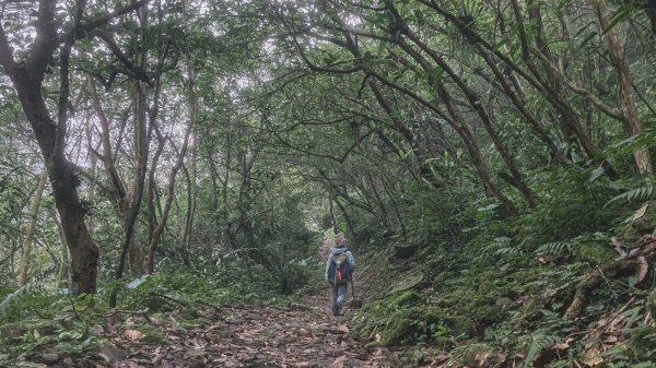 灣潭古道 & 北勢溪古道連走(淡蘭古道中路)2030105