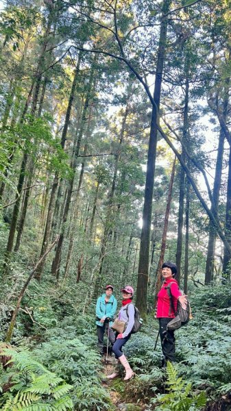 20260104源茂山.源茂山西峰.和尚髻山O走+親水觀魚步道2977783