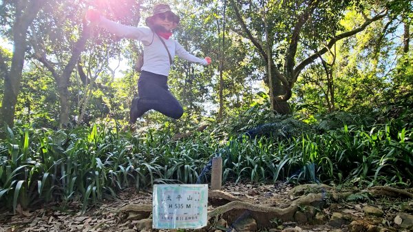 20251216太平山石門山小粗坑山O型+蕃薯藤TINA廚房2972582