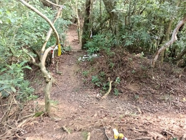 貢寮區新厝山+澳底尖(火炎山)+美艷山+金沙灣2989680