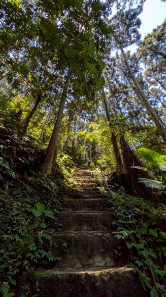 五指山步道3077057