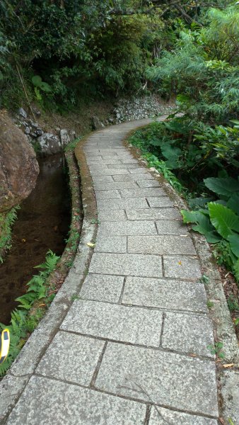 坪頂古圳親山步道環形線1081637