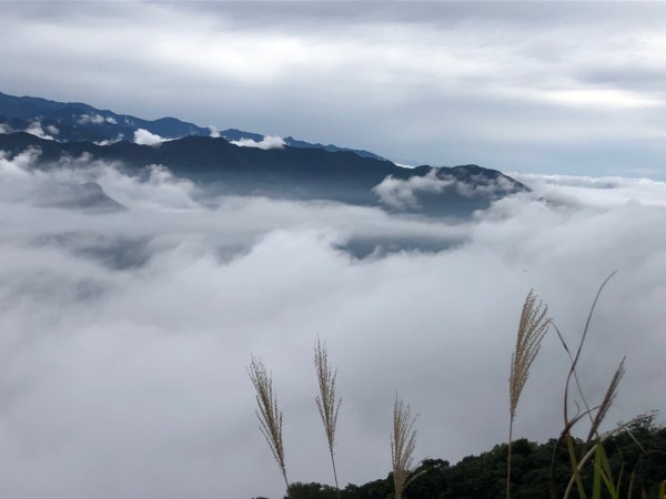 橫龍山、騰龍山（橫龍古道）1544739