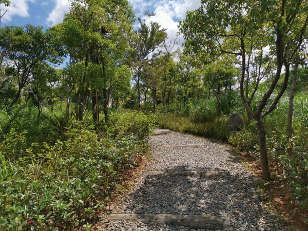 暑之大湳森林公園2859585