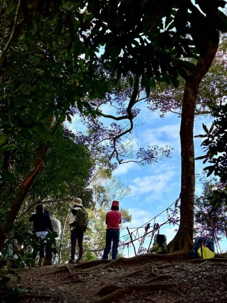 🌈1/11（日）六龜警備道~小百岳~鳴海山×網子山✨FB：熊熊趴爬走🌈2980532