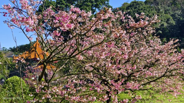 天元宮了嗎？2/32992584