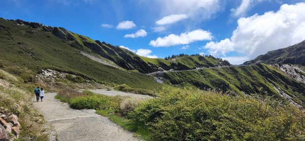 20220604 合歡主峰、石門山、合歡尖山2314539