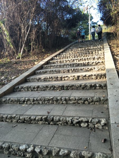 南山神壽任務-旗后(後)山景觀步道1366755