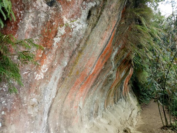 三峽鳶山+鳶山彩壁+五十分山(茅埔路起登)1876741