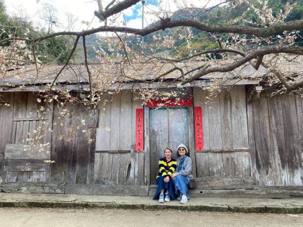 🌈1/17（六）蔡家古厝賞梅×梅子夢工廠×車埕老街✨FB：熊熊趴爬走🌈2983916