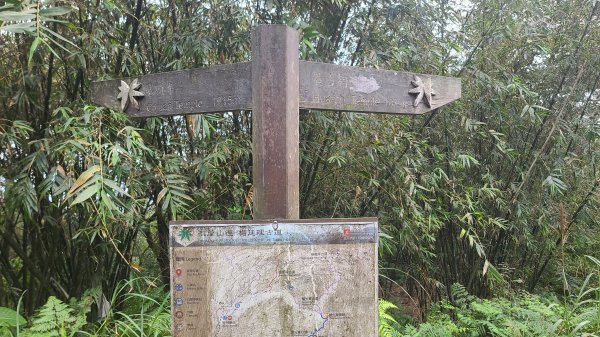 2025-01232淡蘭古道北二段(燦光寮古道到澳底)2696647