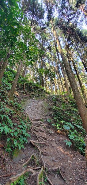 2023-03-18向天湖山步道2076635