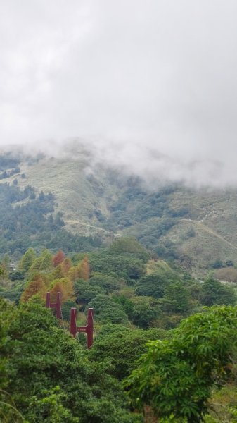 陽明山輕鬆走2991972