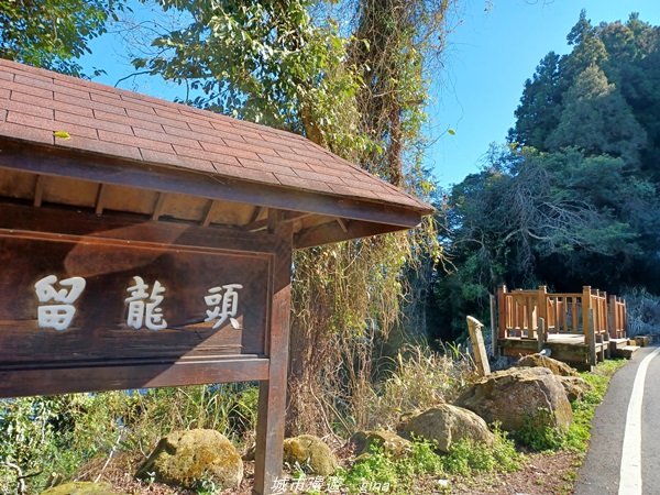 【南投。竹山】茶園竹林巨木櫻花景緻很美(四連峰)。 小百岳集起來。 編號54小百岳金柑樹山1624806