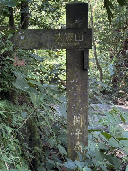 20250830台南關仔嶺大凍山步道2914673