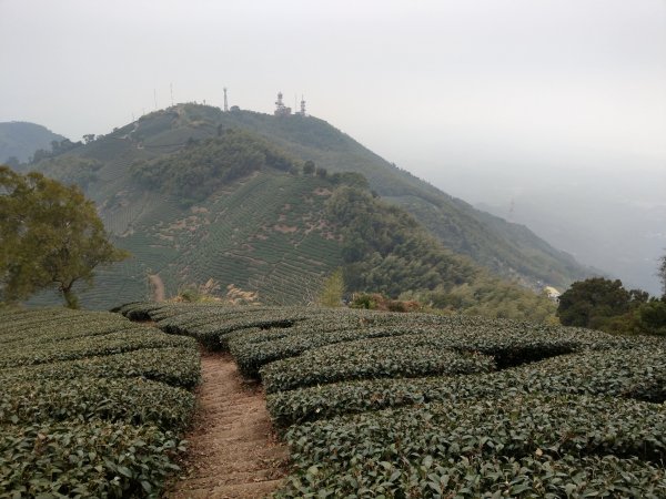 梨子腳山(小百岳#57) & 太平雲梯 (2021/1/29)1423183