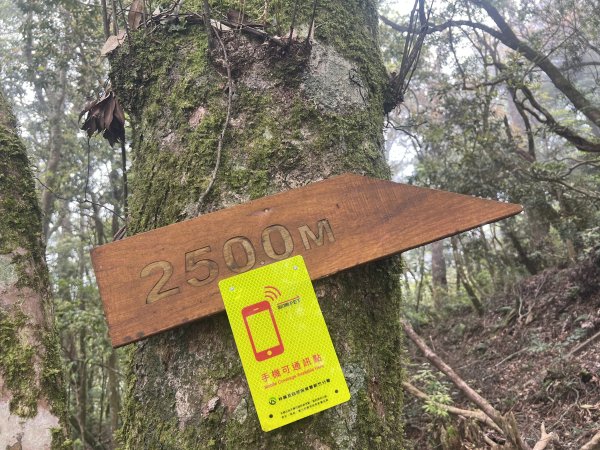 ~  塔  曼  山  ~2782782