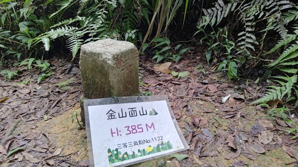 桃園金面山3077110