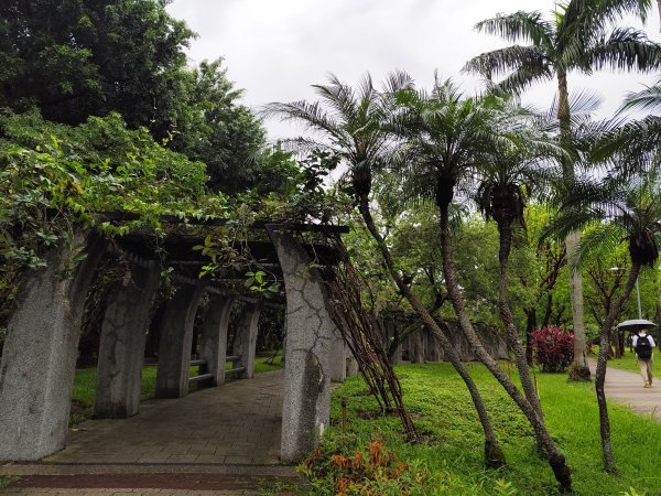 大安森林公園、西門町、象山公園【2025臺北健走趣】2834207