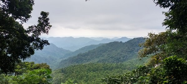 2024/10/10_馬武督步道群+外鳥嘴山2620667