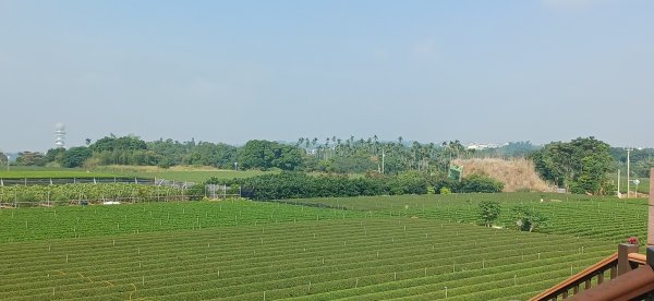 松柏坑山.南投名間2942289