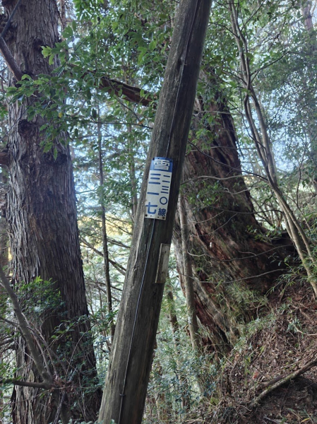 佳人論劍之東邪西毒出西勢