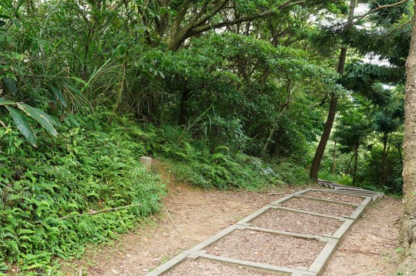 新北 金山 金包里山、磺港山2780922