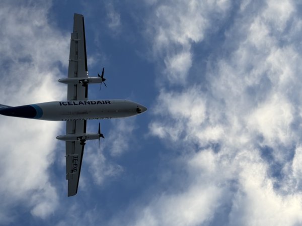 [紐約馬之行-21] 2025_1104 托寧湖(Tjörnin)2946355