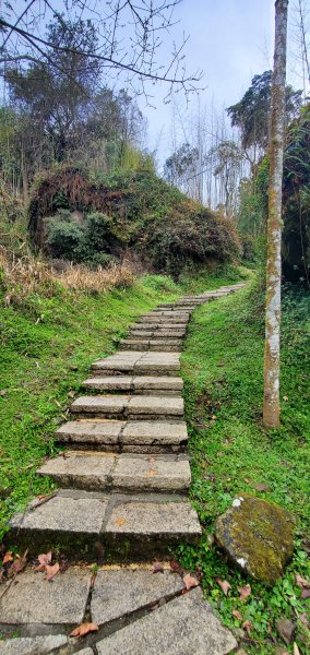 2025-01-18頂湖步道2694203