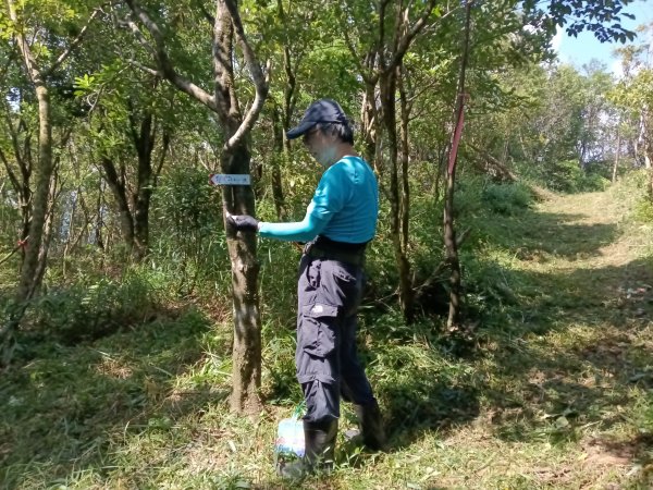 雙溪區豹子廚越嶺保甲路+北豹子廚山+中坑東山稜線O型2880066