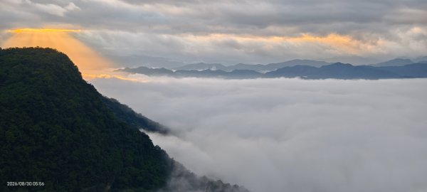 #翡翠水庫壩頂 #日出 #雲海 #斜射光 8/303113252