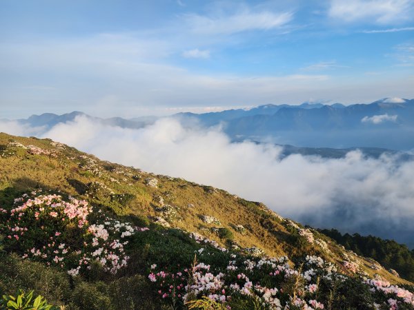 合歡北峰．西峰2497113