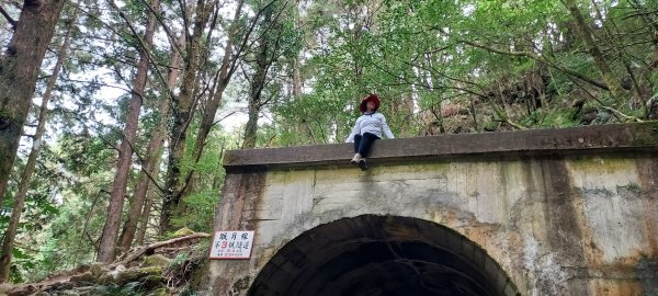 阿里山眠月線2972781