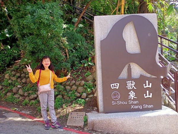 【南山神壽任務尋寶趣】國際化的象山親山步道1596459