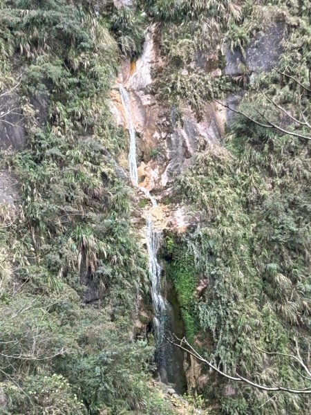 （雲林）草嶺蓬萊瀑布步道2721141