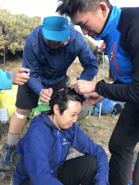 雪山 不下雪533020