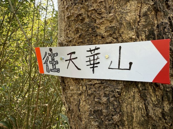 文筆山-南勢角山連走2711327