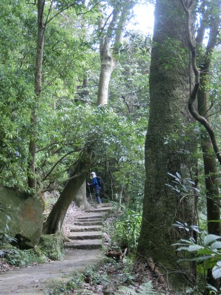 苗圃．七星公園．夢幻湖．冷水坑269403