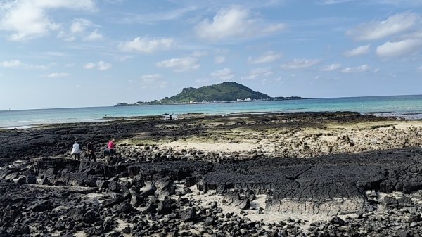 韓國濟州島：挟才海水浴場2912161